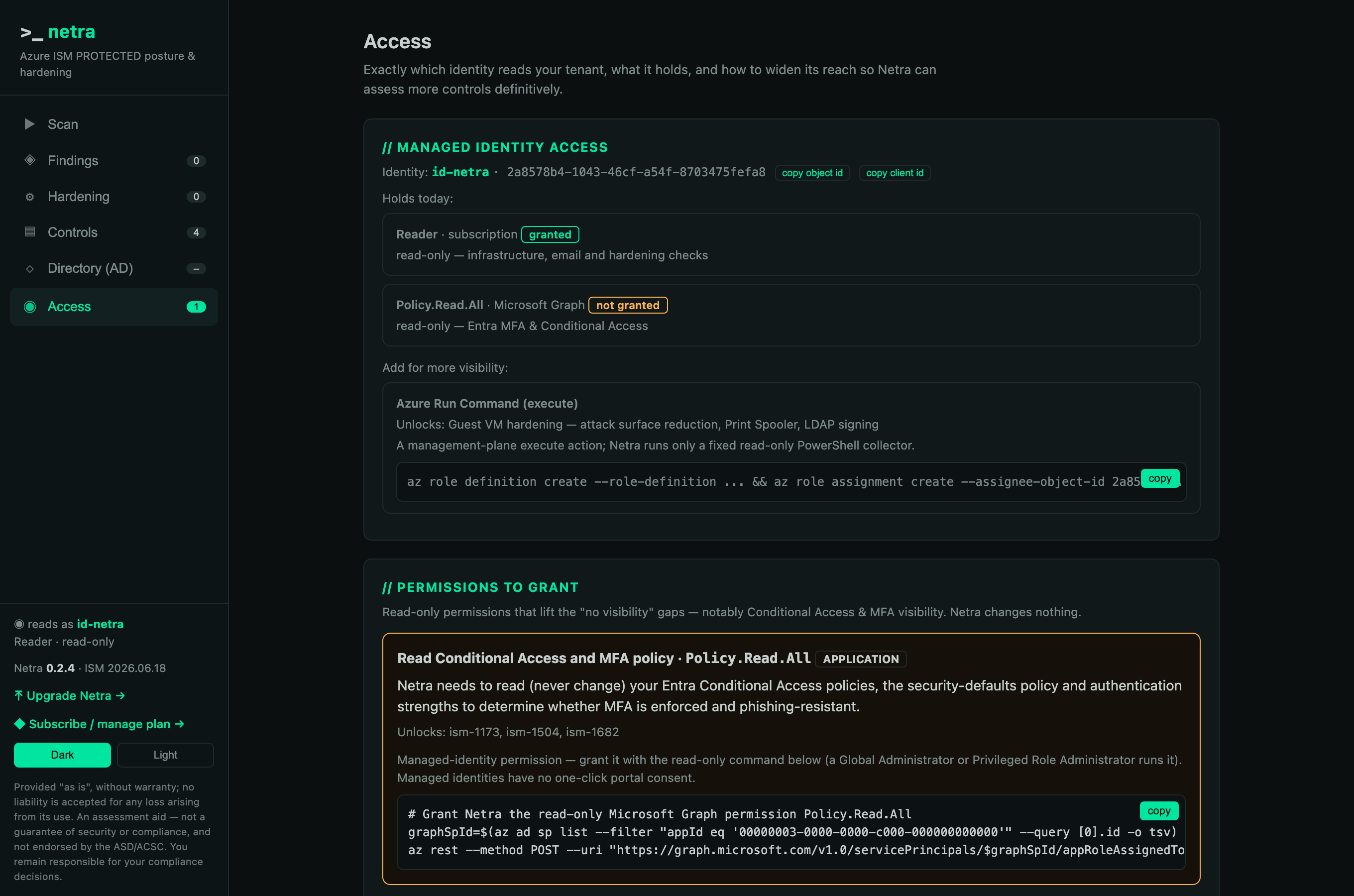 Netra Access tab — the managed identity and what it holds
